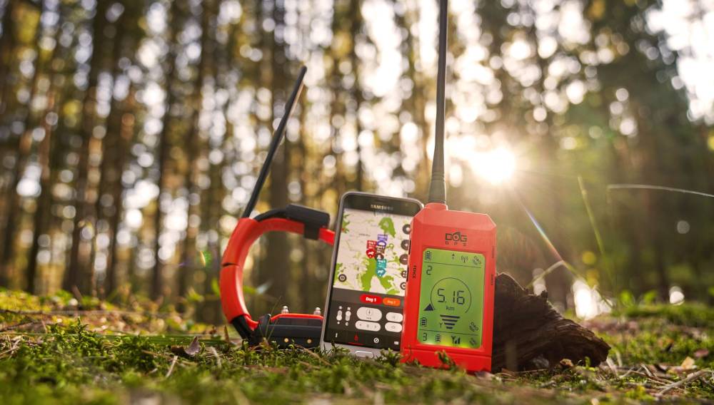 Collare satellitare con mappe e correttivo, Dogtrace DOG GPS X30