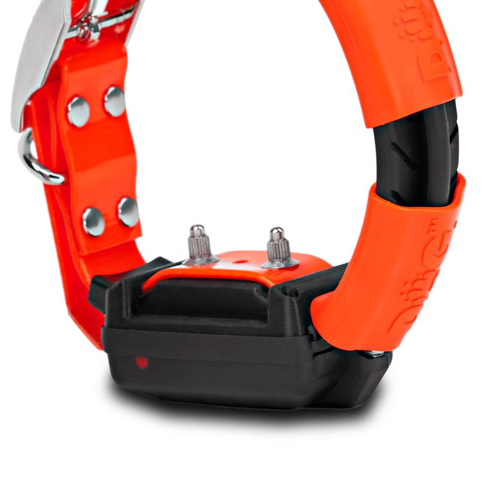Modulo addestramento Dog Trace X30