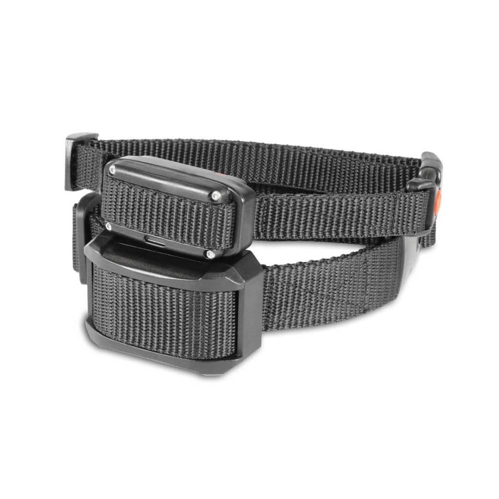 D-Control EDGE Collare aggiuntivo Suono + Stimolazione