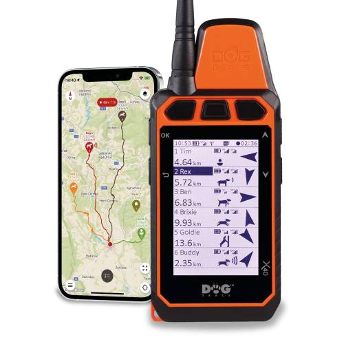Dog GPS X40 - Palmare