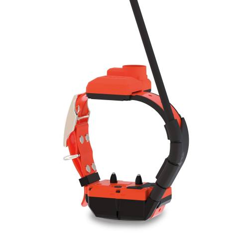 DOG GPS X40TB – Collare satellitare con addestramento e Beeper