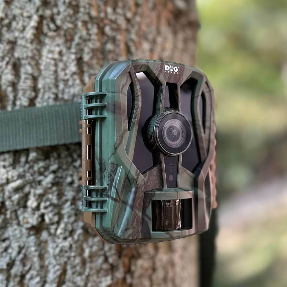 DogTrace Phototrap d-guard mini